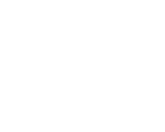 ICON-LOGO